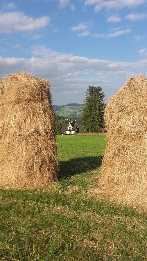 Willa Góralskie Klimaty Bukowina Tatrzańska Exterior foto