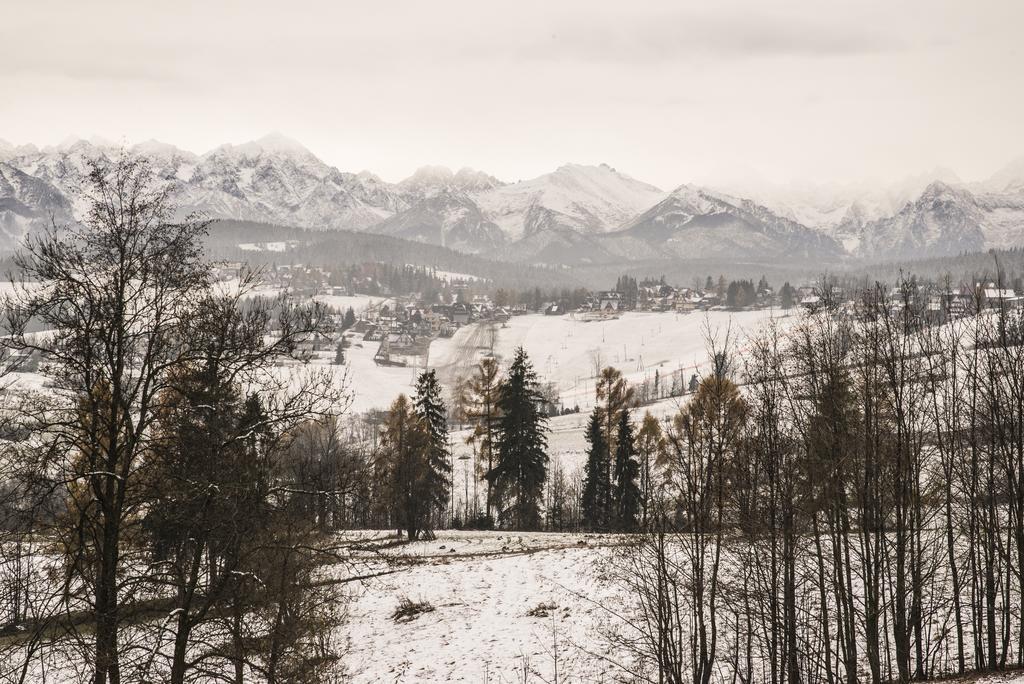Willa Góralskie Klimaty Bukowina Tatrzańska Exterior foto